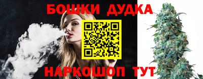 Альфа ПВП Можга