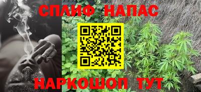 Альфа ПВП Можга