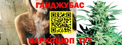 Альфа ПВП Можга