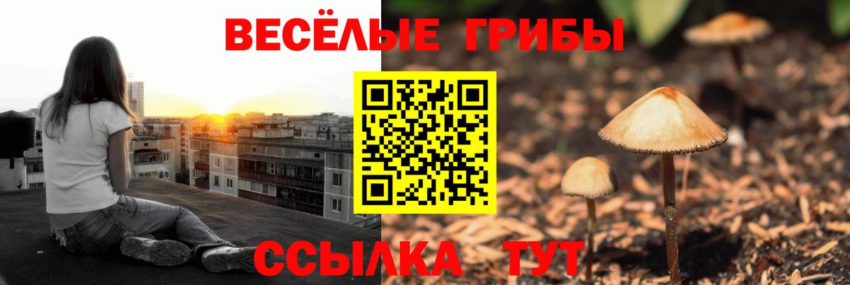Галлюциногенные грибы мицелий  Вход с VPN  Псилоцибиновые грибы Psilocybine cubensis  Тихвин 